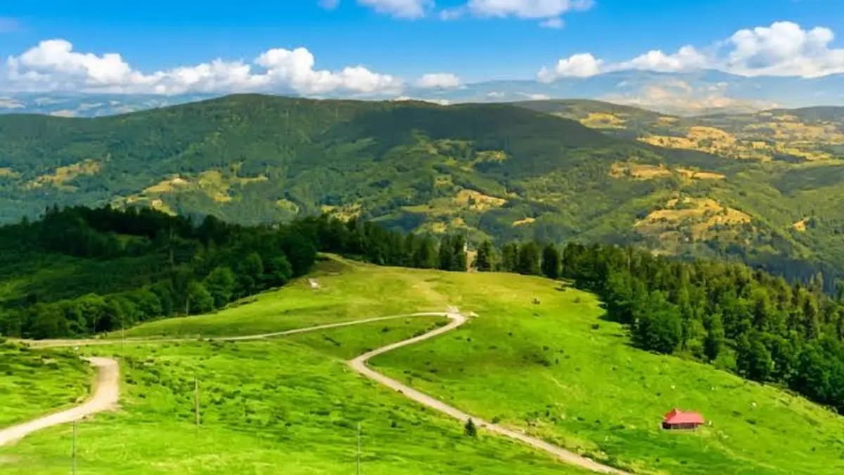 Alergători pe traseul Semimaratonului în Munții Apuseni, peisaj montan, tradiții locale
