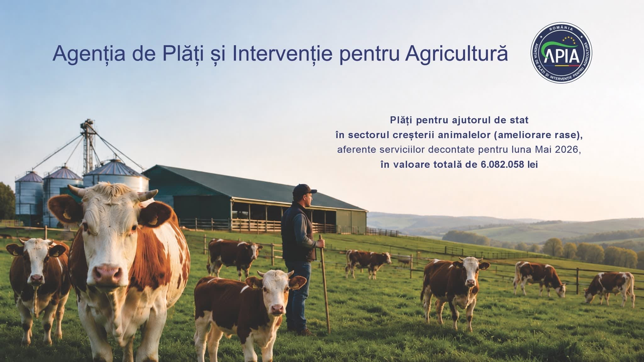 Crescători de animale în ferme din România în timpul plăților