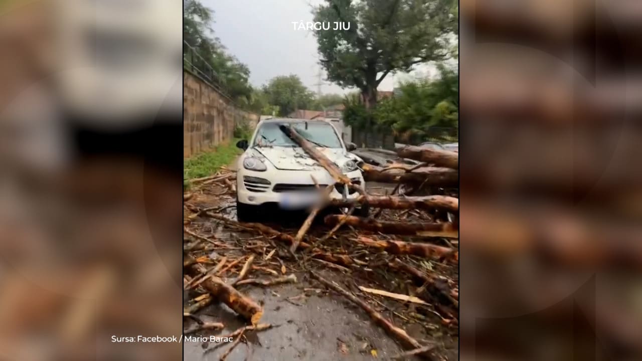 Copac căzut peste mașină în timpul furtunii în Târgu Jiu
