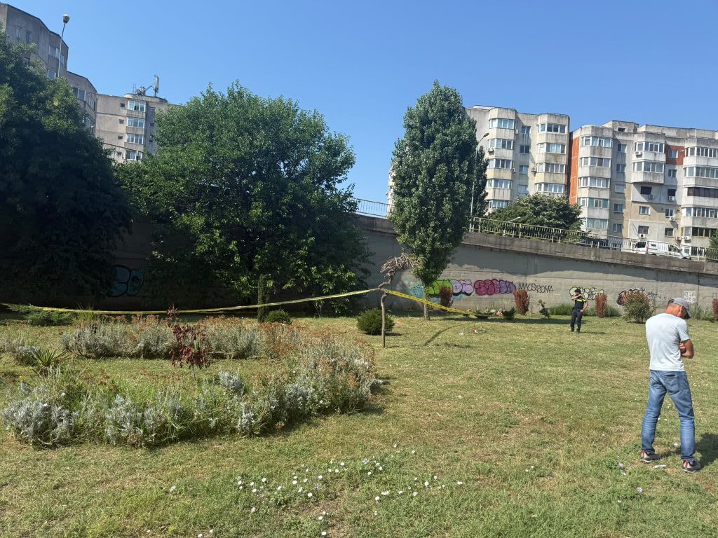 Polițiști și echipaj pirotehnic în zona podului de pe bulevardul Aurel Vlaicu din Constanța