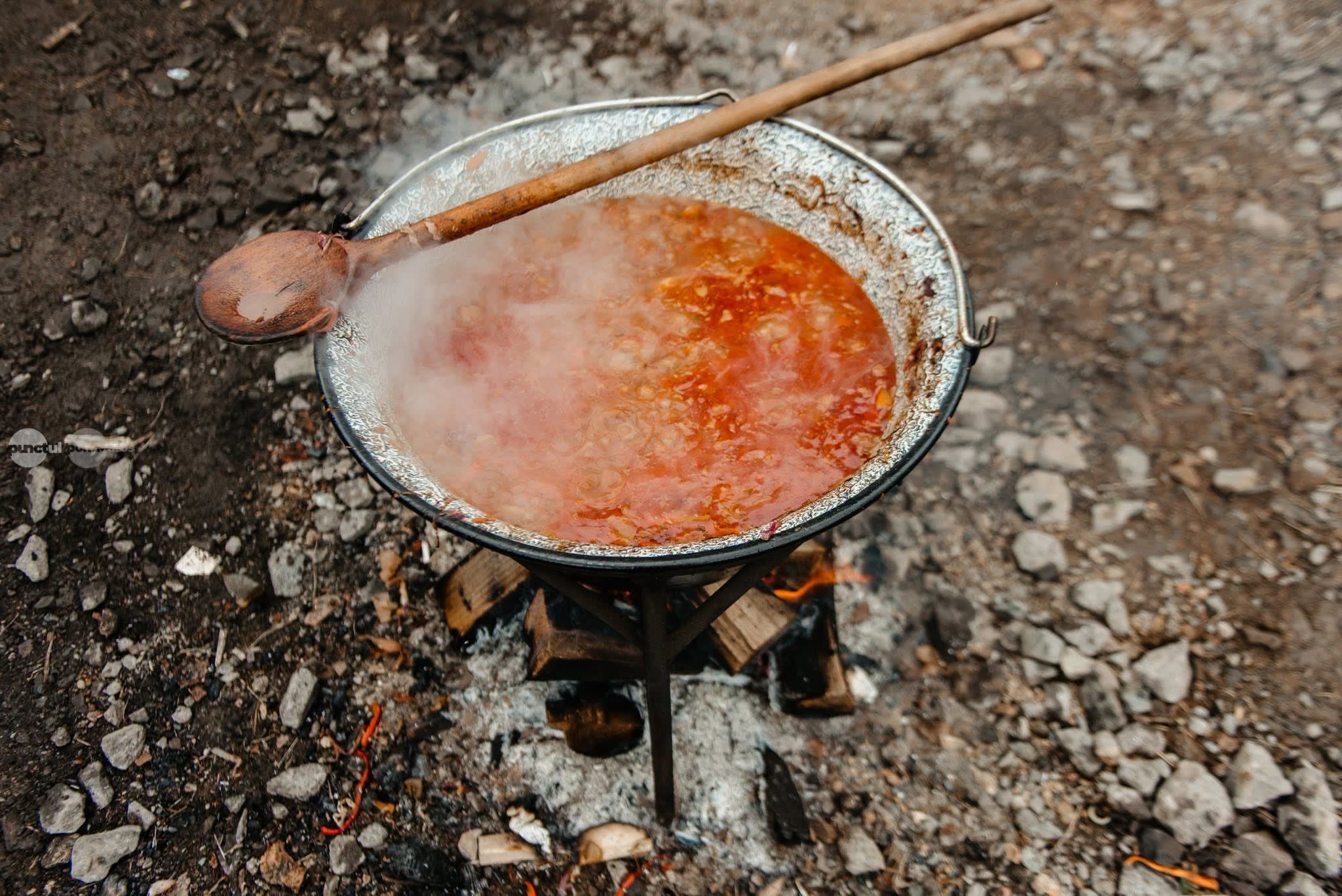 Participanți la festivalul Borsec în peisaj montan