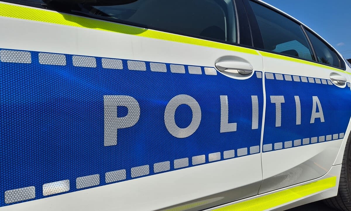 Polițiști rutieri verificând un șofer în Alba