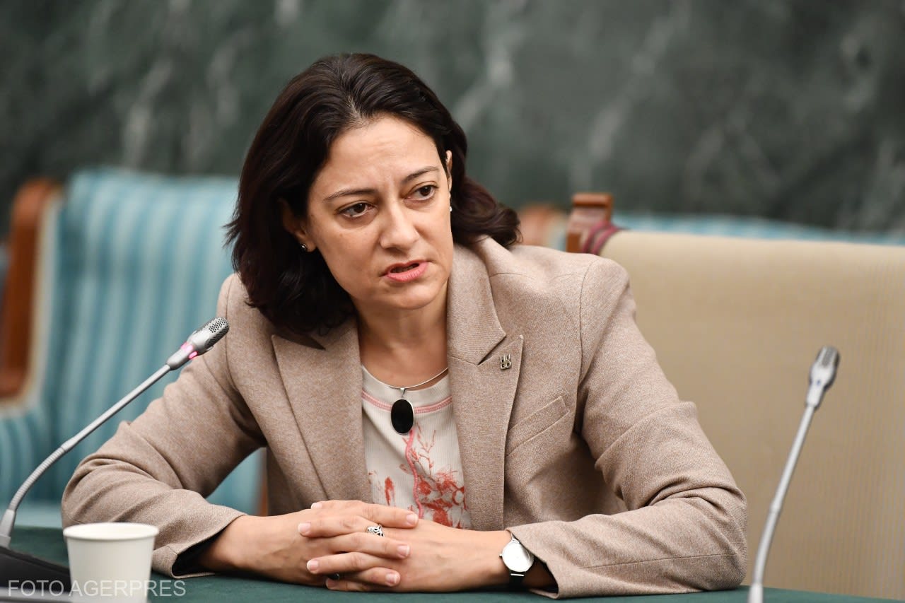 Oana Popescu Zamfir în timpul unei conferințe despre politică externă