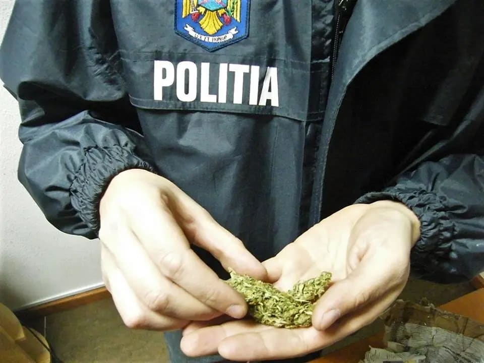 Polițist în uniformă verificând documente pe stradă, România