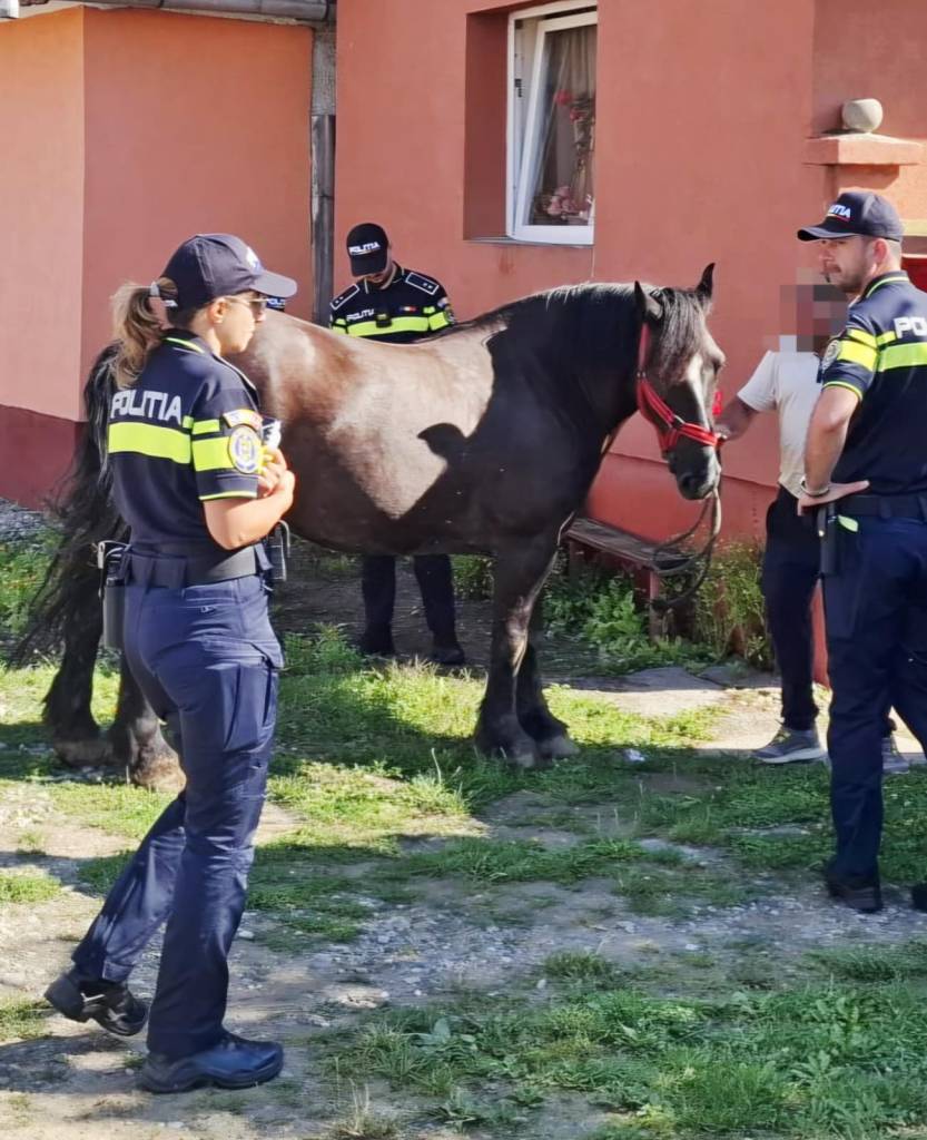 Polițiști din Brașov verificând câini și aplicând sancțiuni