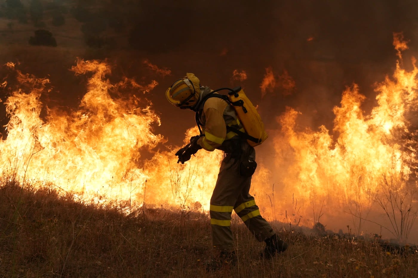 Pompieri români și europeni luptând împotriva incendiilor de pădure