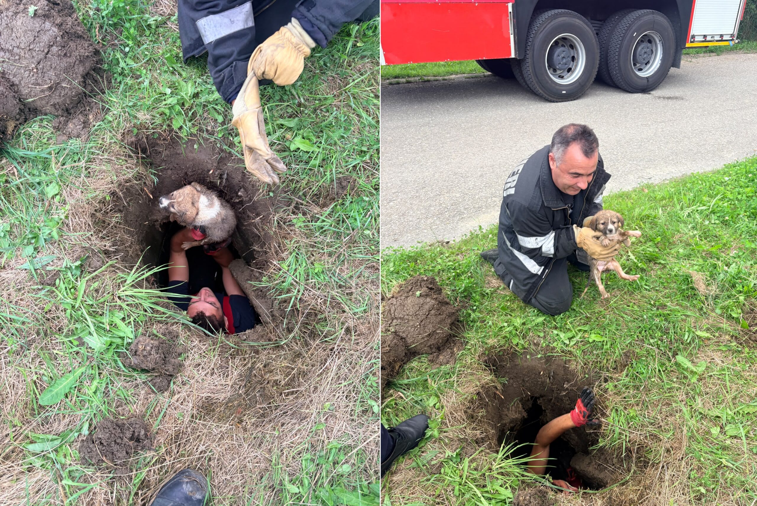 Pompieri prahoveni salvând un câine dintr-o groapă la Slănic