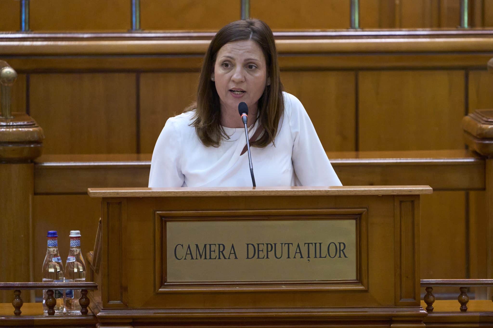 Dezbatere politică despre energie și securitate în România