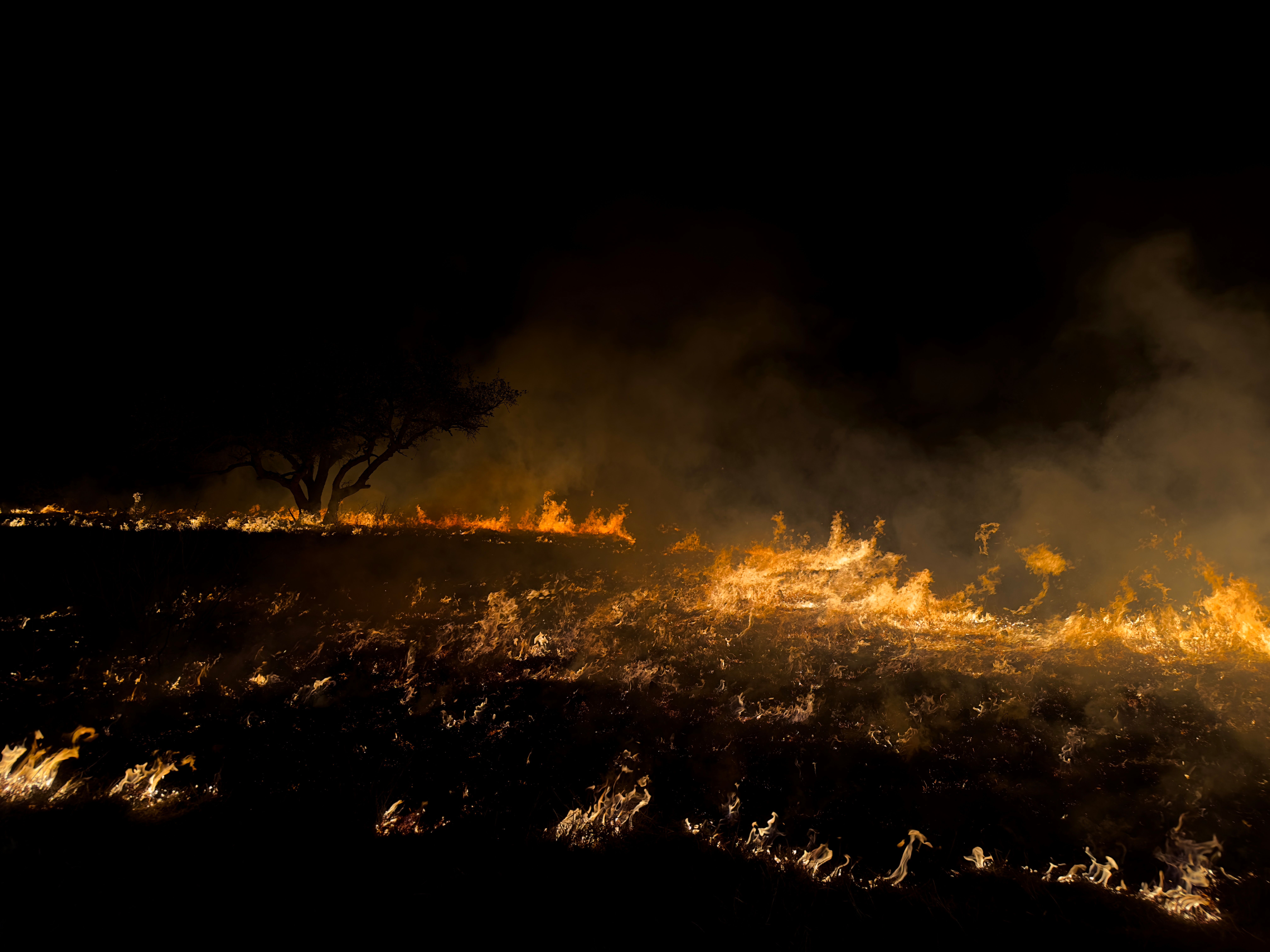 Fum gros de incendiu de vegetație acoperind orașe din America de Nord