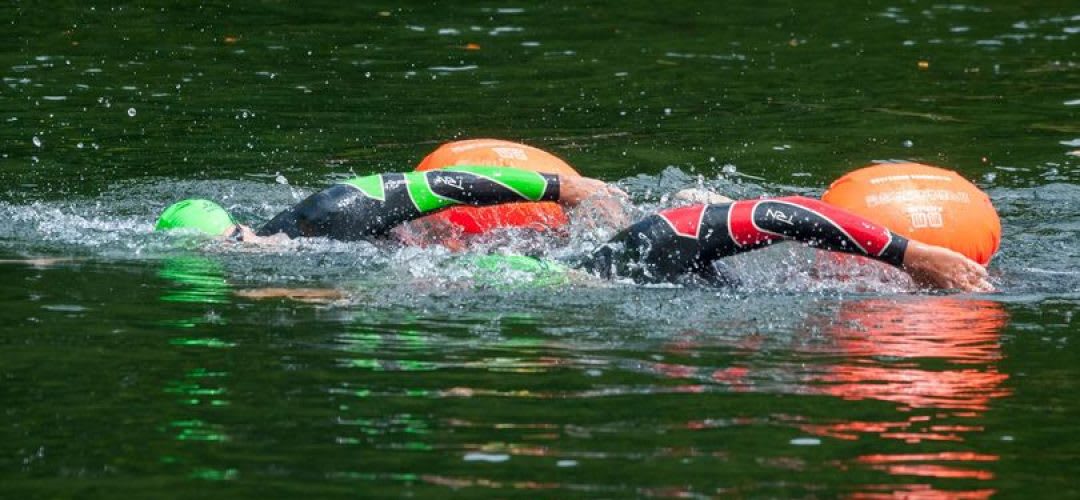 Micuți sportivi înotând în lacul Tarnița în condiții de temperatură scăzută Micuți sportivi înotând în lacul Tarnița în condiții de temperatură scăzută