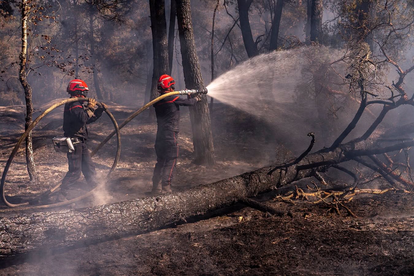 Președintele Nicușor Dan mulțumește Franței pentru sprijin în lupta cu incendiile Președintele Nicușor Dan mulțumește Franței pentru sprijin în lupta cu incendiile