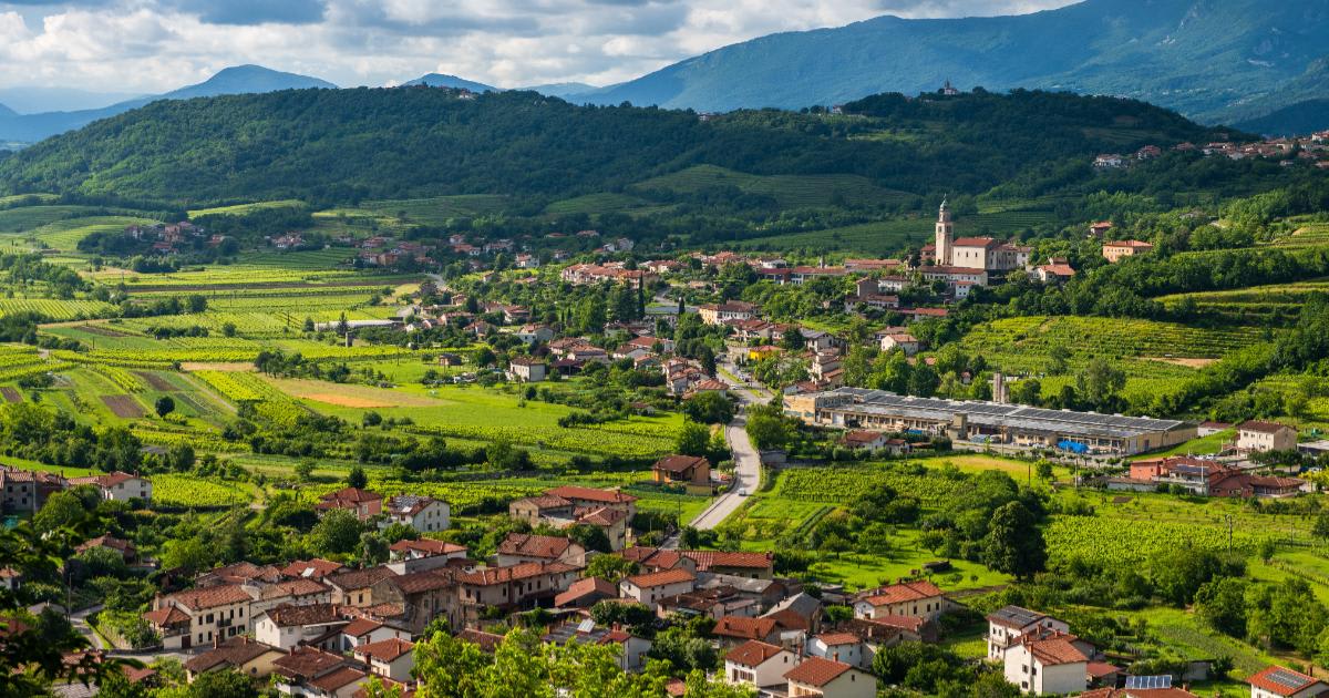Peisaj pitorești din Valea Vipava cu podgorii și munți în fundal