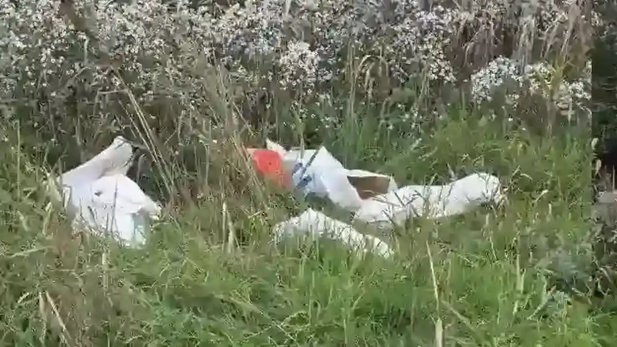 Reprezentanți ai primăriei Sebeș în timpul unei campanii de curățenie