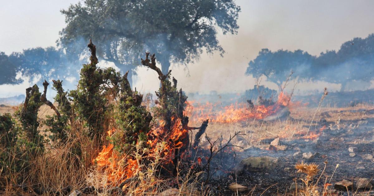 Pompieri români în acțiune în Franța, stingând incendii de amploare