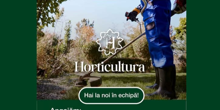 Echipă de muncitori în grădină, societate horticultură în Timișoara