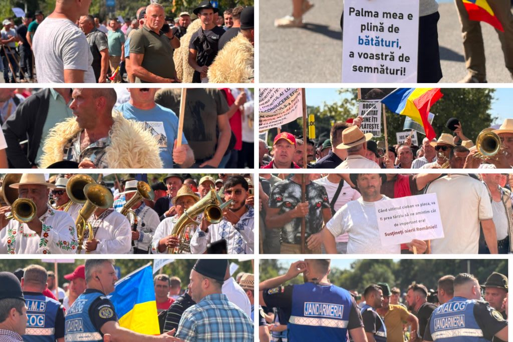 Jandarmi intervenind cu gaze lacrimogene în fața sediului ANSVSA în București Jandarmi intervenind cu gaze lacrimogene în fața sediului ANSVSA în București