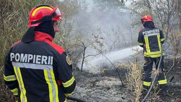 Pompieri români în Franța intervenind la incendii de vegetație Pompieri români în Franța intervenind la incendii de vegetație