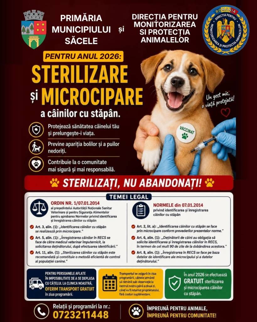 Veterinar sterilizând un câine în cadrul campaniei din Săcele Veterinar sterilizând un câine în cadrul campaniei din Săcele