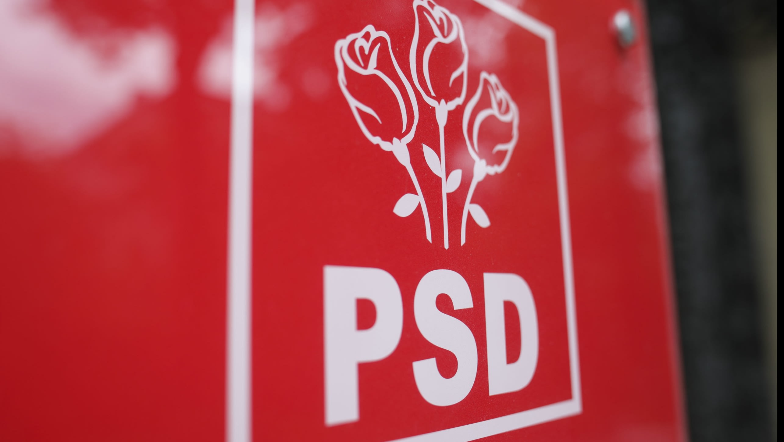 Reprezentanți PSD în discuție cu oficiali europeni despre reforma salarială Reprezentanți PSD în discuție cu oficiali europeni despre reforma salarială