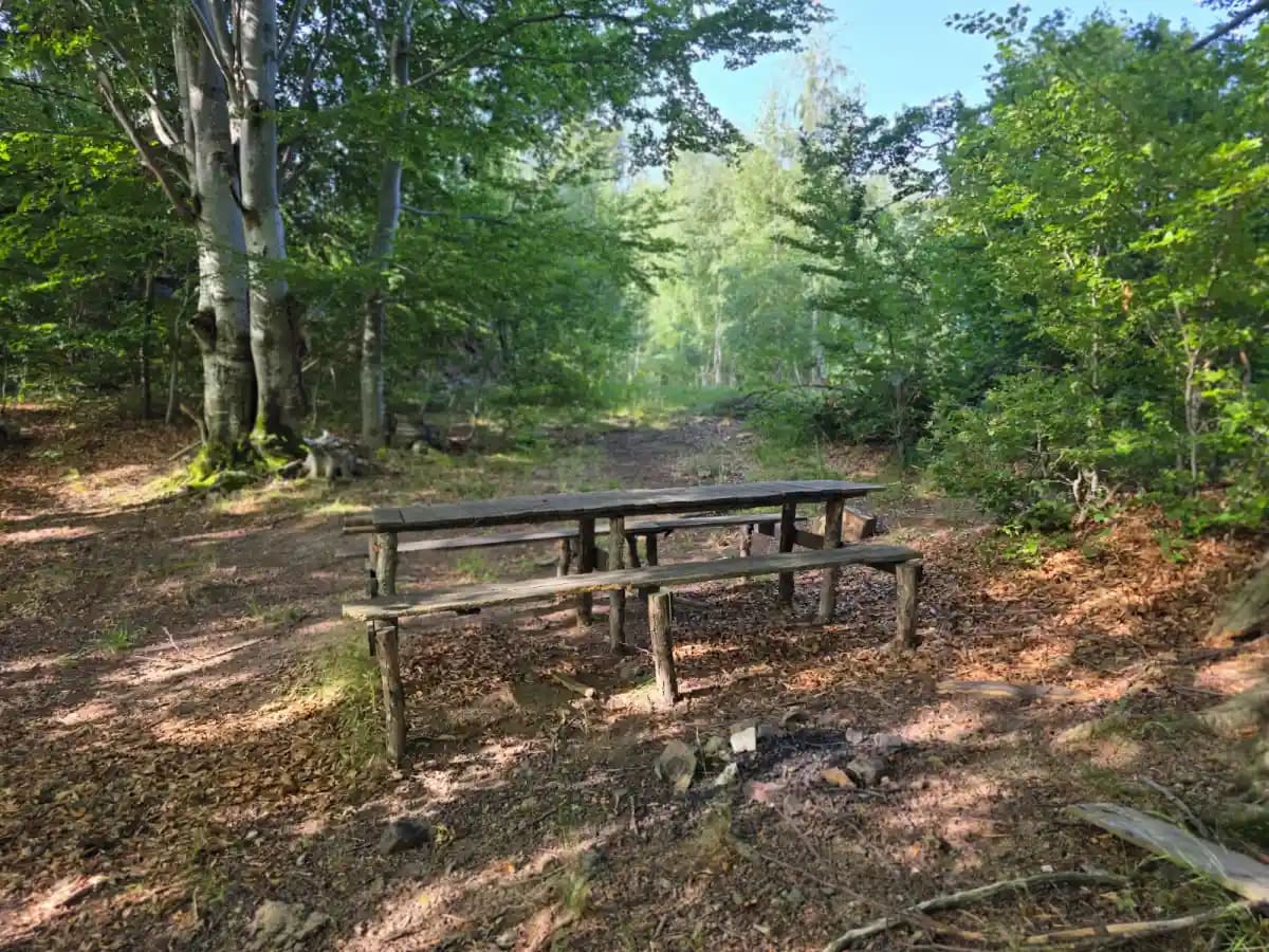 31 Iulie | Ziua Internațională a Rangerilor: Eroii care protejează biodiversitatea