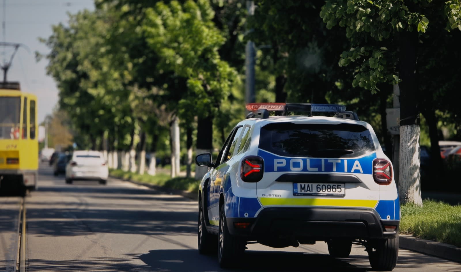 DIICOT Ploiești a reținut doi bărbați pentru trafic de canabis în Prahova și București