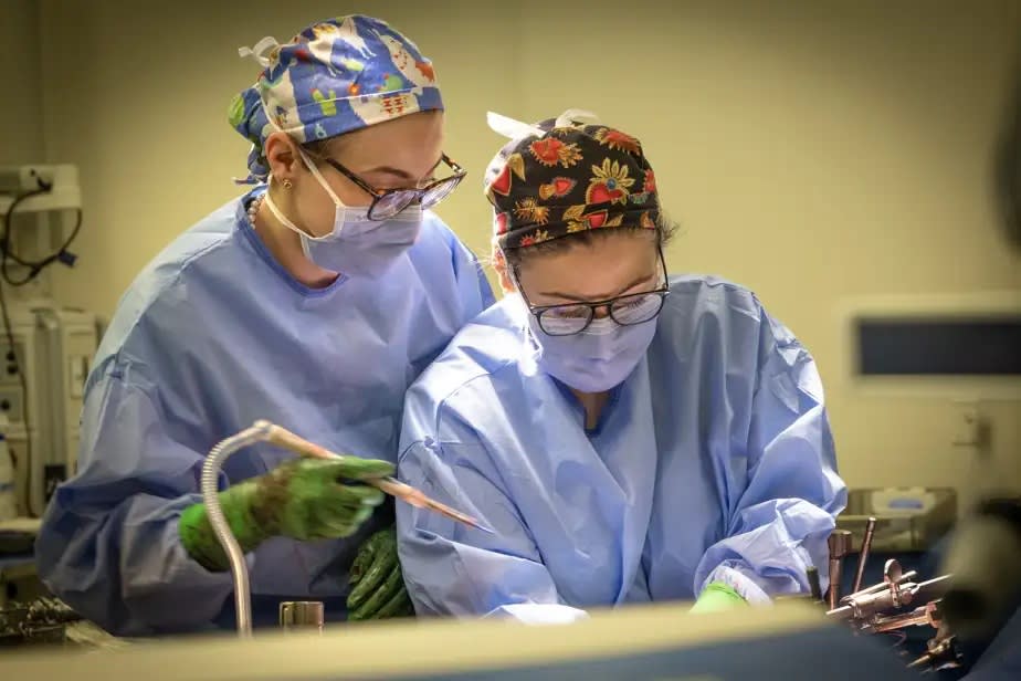Două femei chirurgi oncologi în sala de operație din Montreal Două femei chirurgi oncologi în sala de operație din Montreal