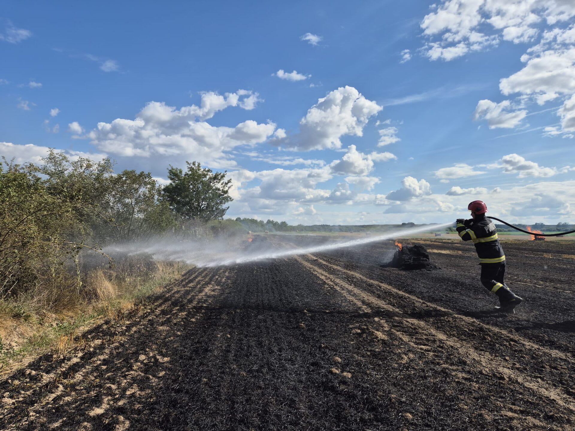 Pompierii din Satu Mare intervin la două incendii de vegetație în condiții de caniculă extremă