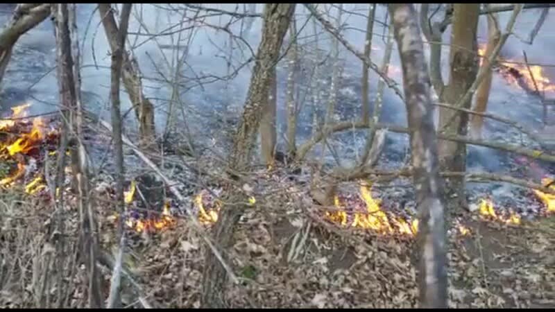 Echipaje de pompieri intervenind pentru stingerea unui incendiu de vegetație la Voineasa Echipaje de pompieri intervenind pentru stingerea unui incendiu de vegetație la Voineasa