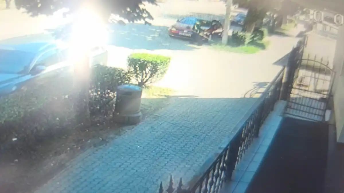 Mașină avariată în Alba Iulia după lucrări de întreținere a spațiului verde: „Bătaie de joc sau incompetență?”