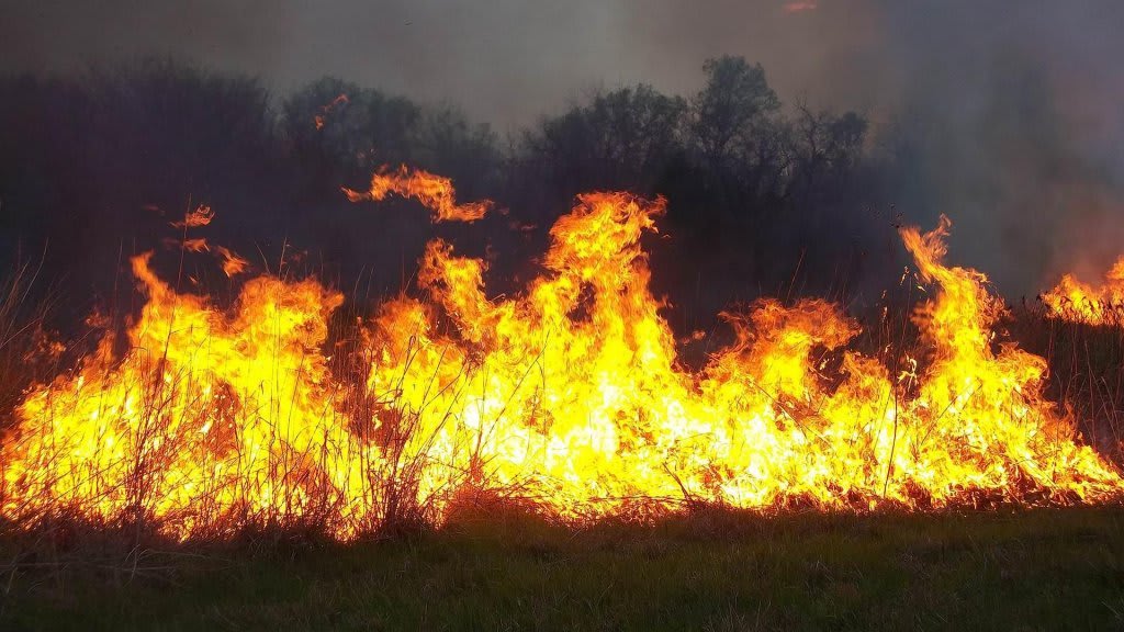 Autoritățile din Cluj avertizează: nu dați foc vegetației uscate în timpul caniculei