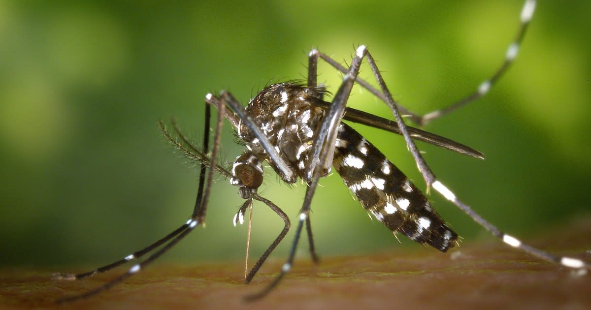 Spitalul Clinic de Boli Infecțioase din Iași Spitalul Clinic de Boli Infecțioase din Iași