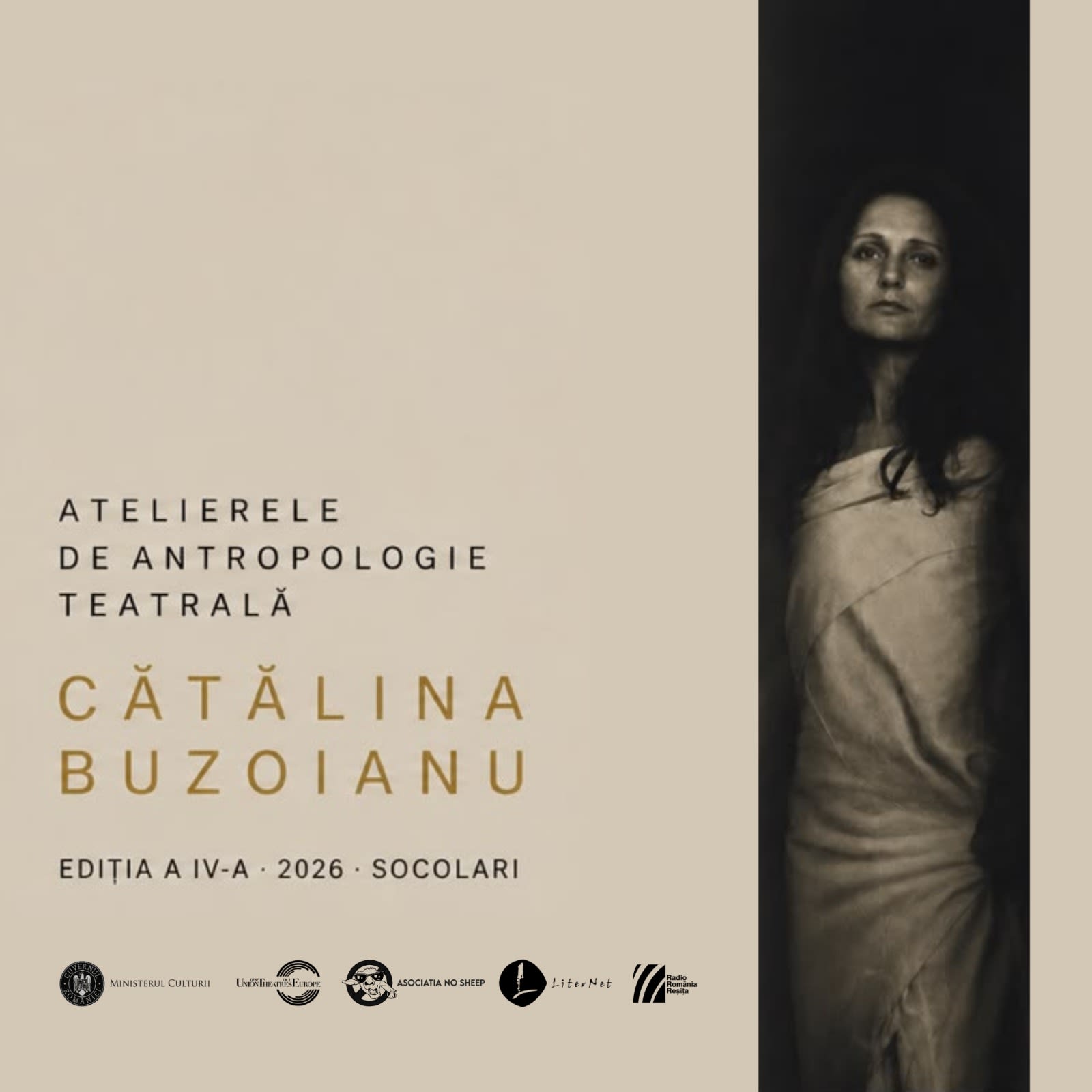 Spectacol teatral în aer liber la Socolari, artiști pe scenă