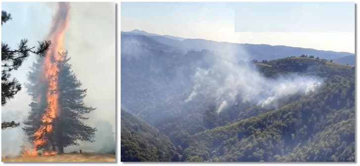 Pompieri din Timișoara stingând incendiu de vegetație la Reșița