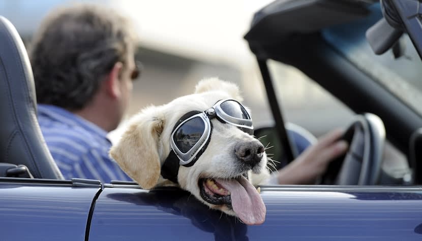 Verificări auto înainte de vacanță Verificări auto înainte de vacanță