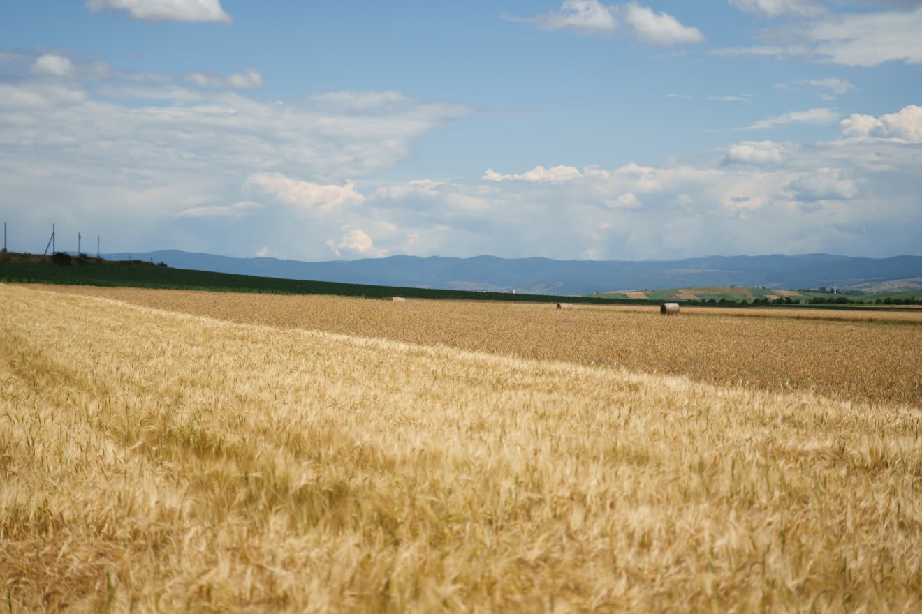 Avertizare de caniculă în România Avertizare de caniculă în România