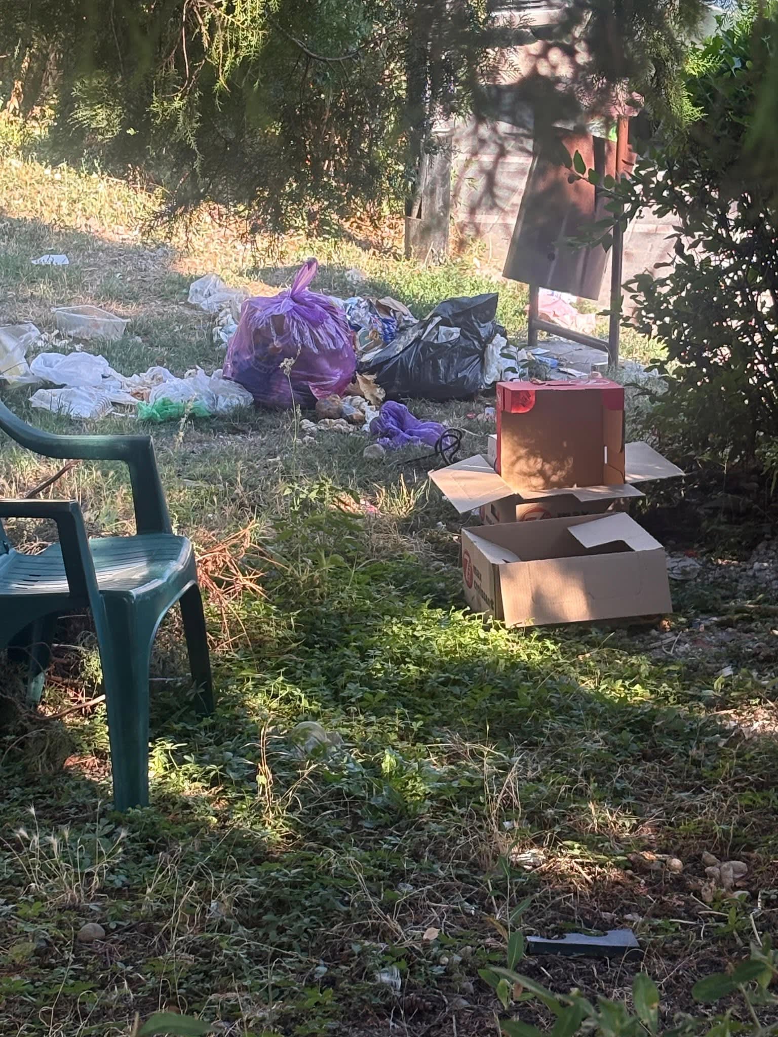 Gunoaie aruncate în centrul orașului Giurgiu lângă piscina Perla Gunoaie aruncate în centrul orașului Giurgiu lângă piscina Perla