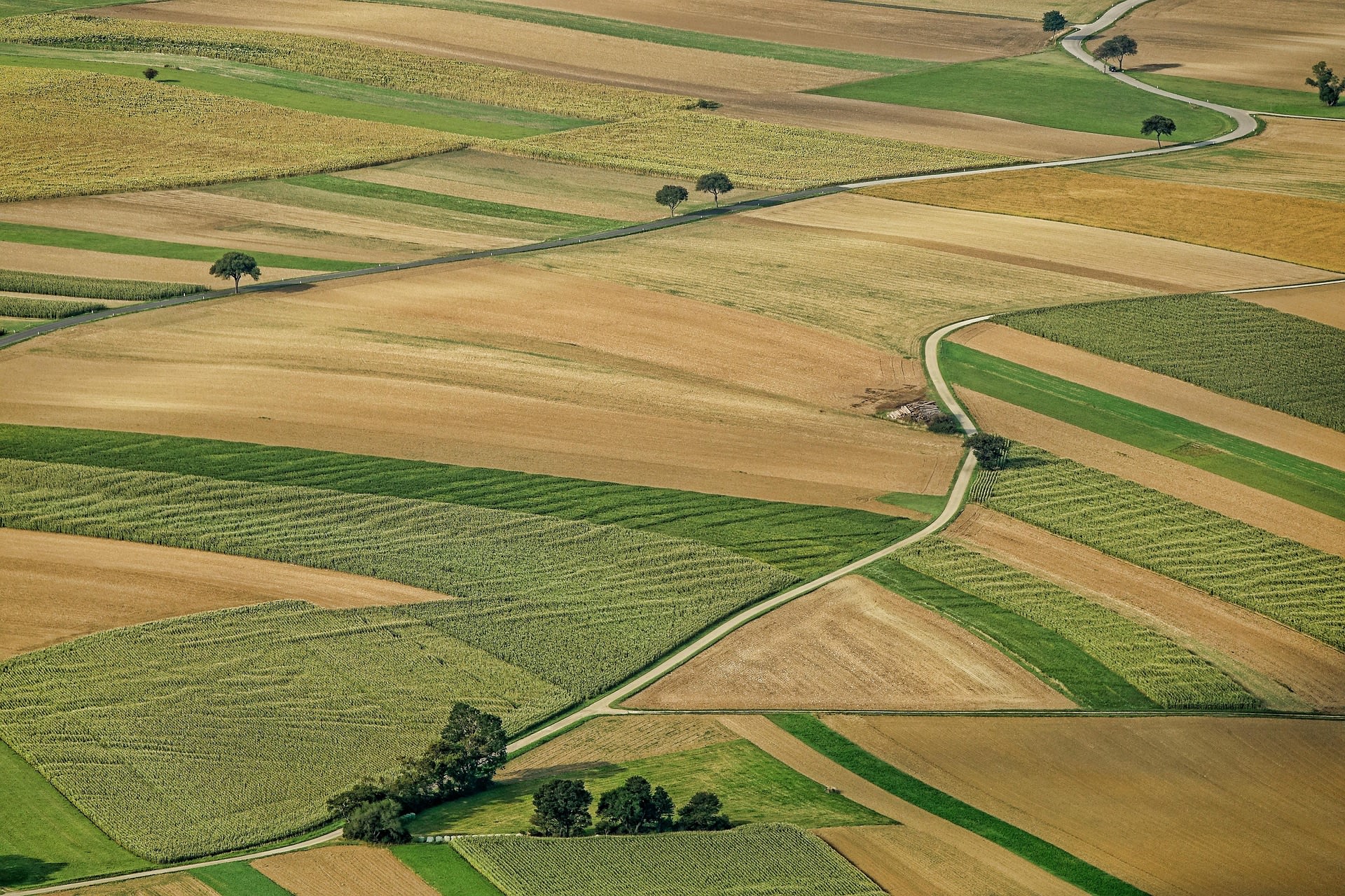 Teren agricol arendat, act juridic și judecătorie