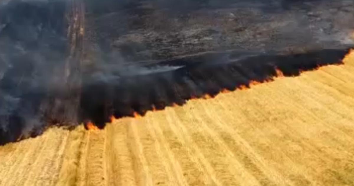 Pompieri români stingând incendiu de vegetație în timpul caniculei Pompieri români stingând incendiu de vegetație în timpul caniculei