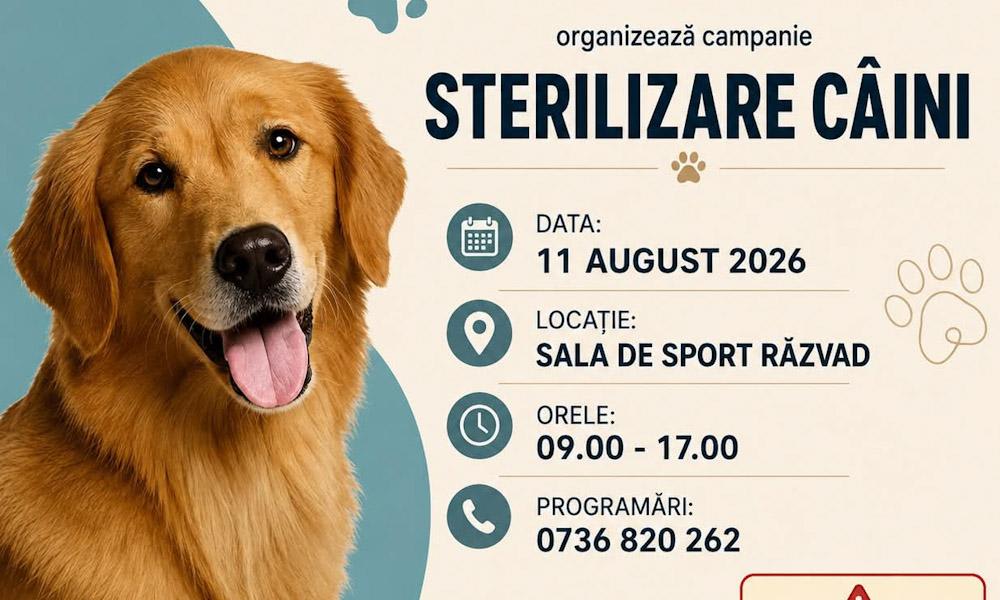 Răzvad: Primăria organizează o campanie gratuită de sterilizare a câinilor pe 11 august 2026