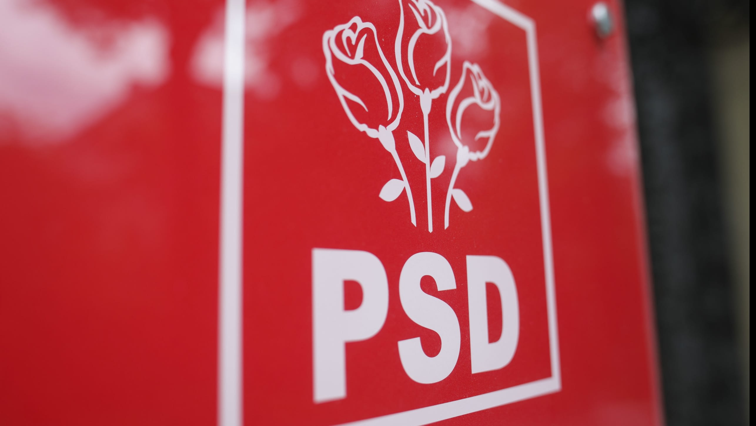 Reprezentanți politici în discuție, imagine cu simboluri ale PSD și USR Reprezentanți politici în discuție, imagine cu simboluri ale PSD și USR