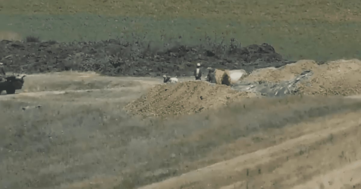 Intervenție autorități la ferma din Popești Intervenție autorități la ferma din Popești