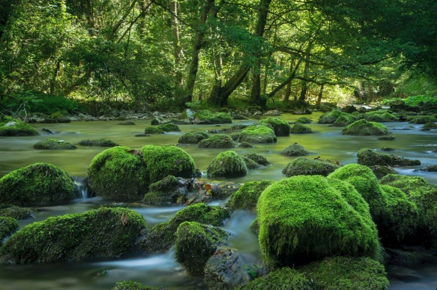 Fotografie din parcurile naționale ale României, natură și peisaje spectaculoase Fotografie din parcurile naționale ale României, natură și peisaje spectaculoase
