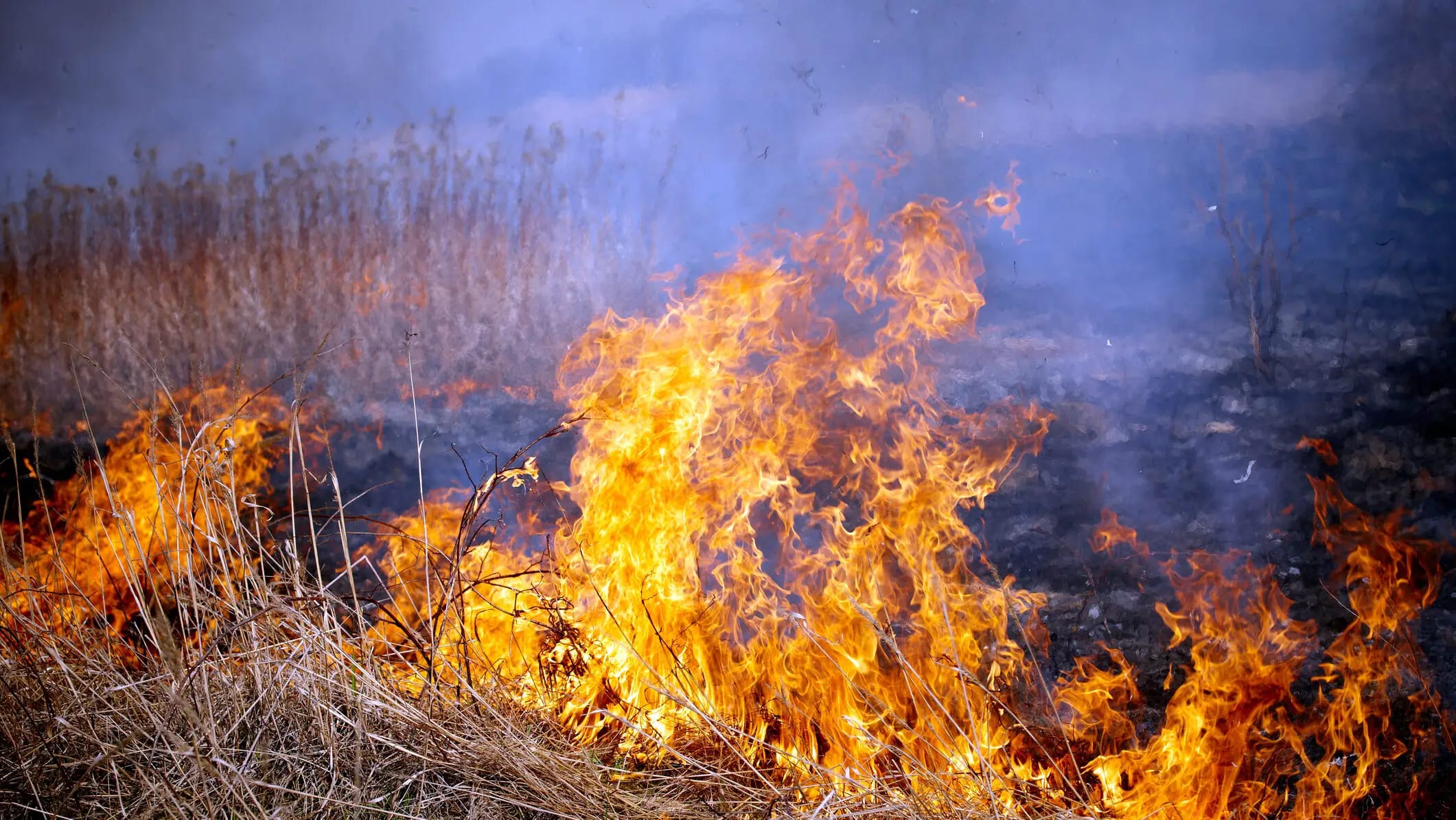 Pompieri români stingând incendiu de vegetație uscată în Mureș Pompieri români stingând incendiu de vegetație uscată în Mureș