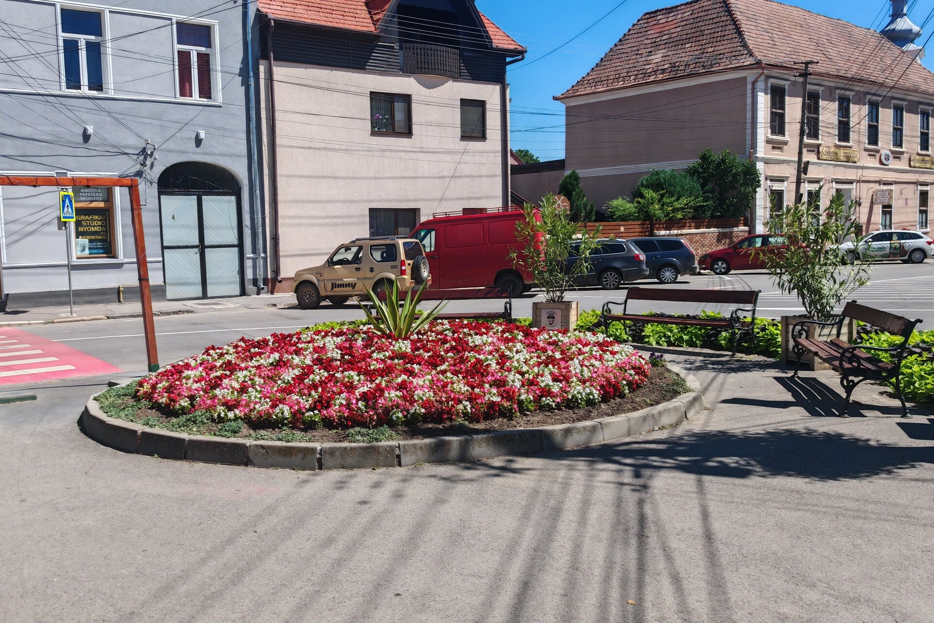 Floarea zilei în Kézdivásárhely, pe 6 august 2026