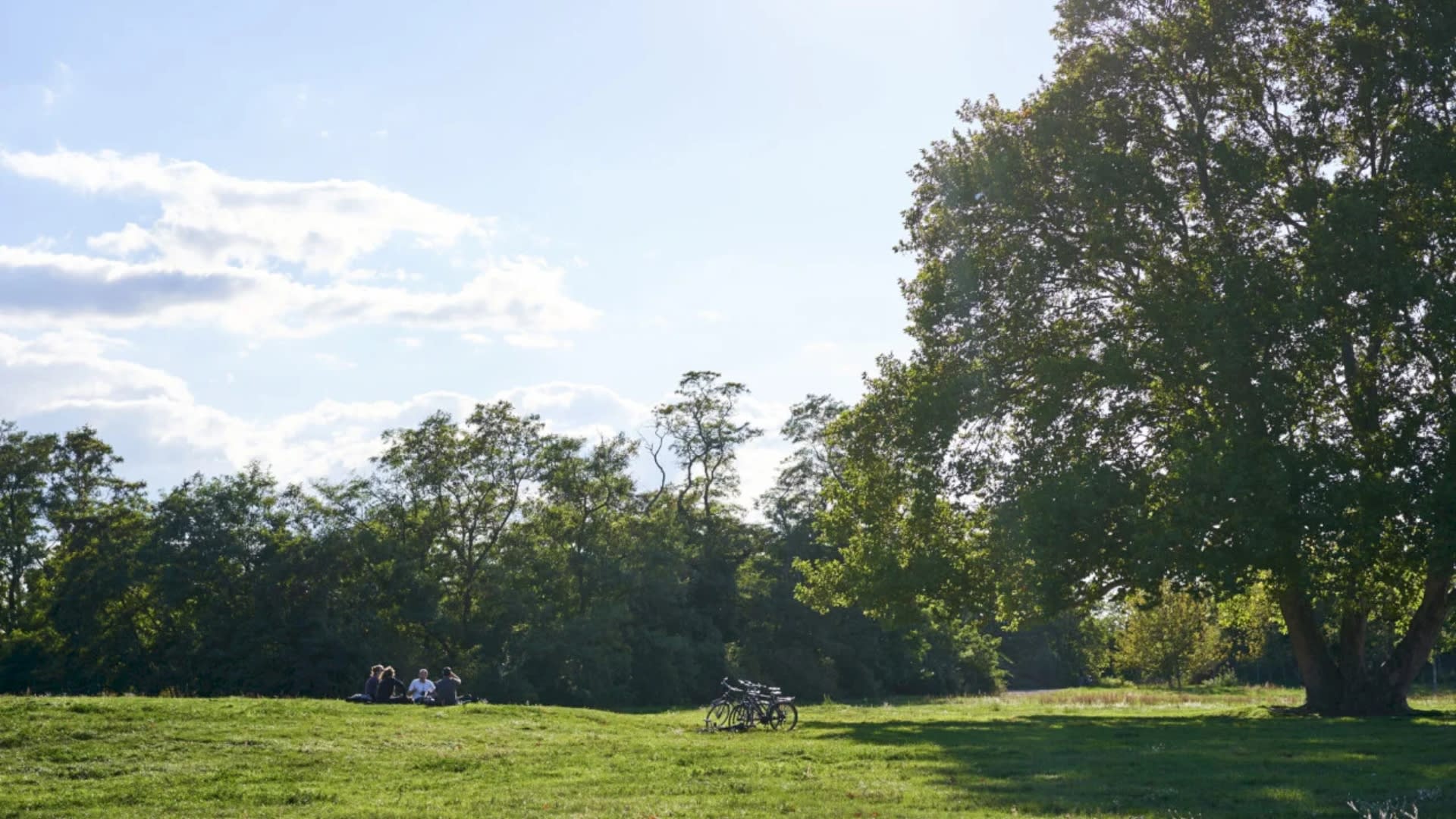 Teren de joacă pentru copii în parc, cu zone verzi și mobilier urban Teren de joacă pentru copii în parc, cu zone verzi și mobilier urban