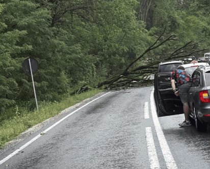 Pompieri intervenind pe DN 15, la Vălenii de Mureș, pentru îndepărtarea copacilor căzuți Pompieri intervenind pe DN 15, la Vălenii de Mureș, pentru îndepărtarea copacilor căzuți