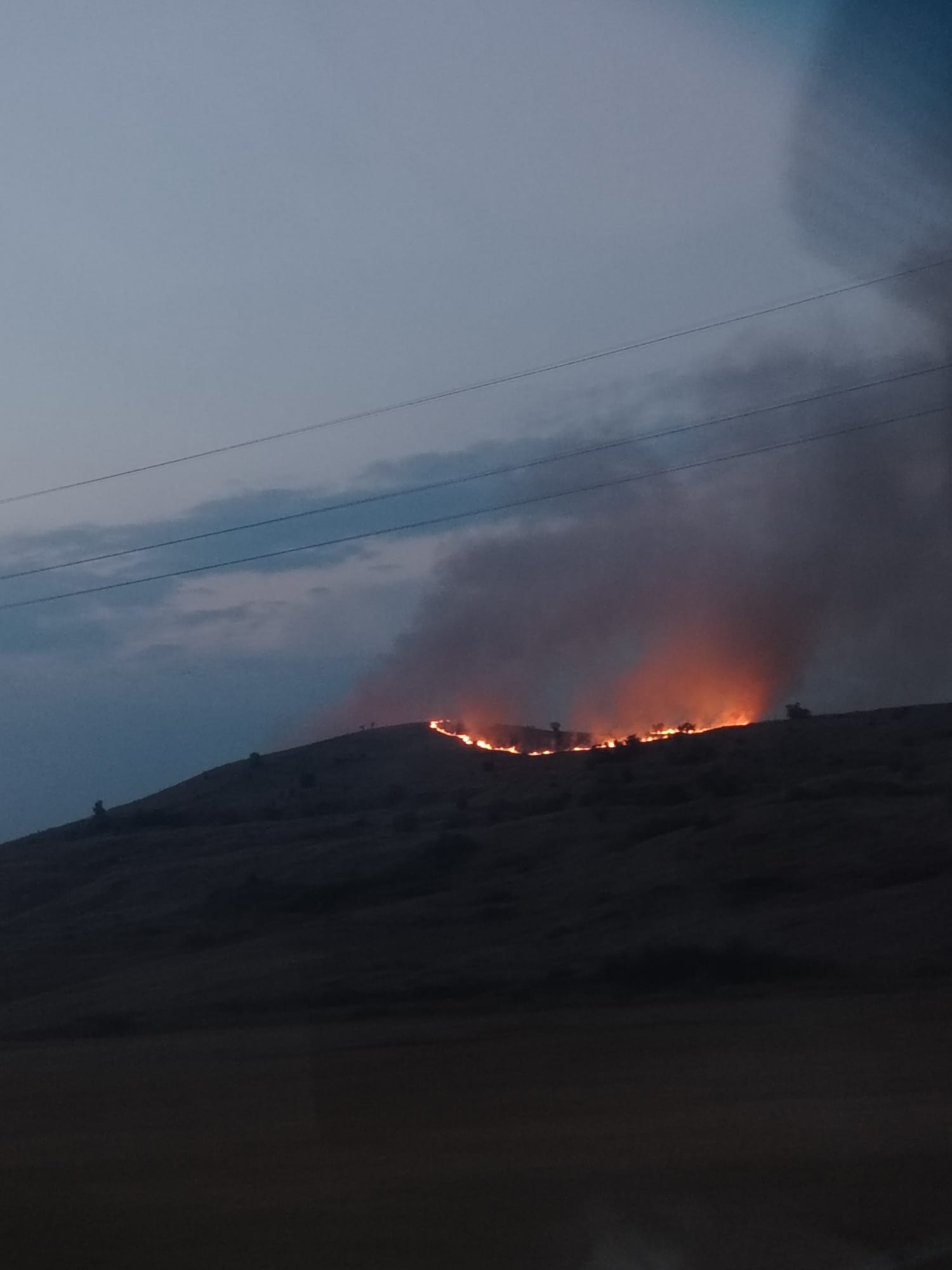 Pompieri în acțiune stingând un incendiu de vegetație în Vaslui Pompieri în acțiune stingând un incendiu de vegetație în Vaslui