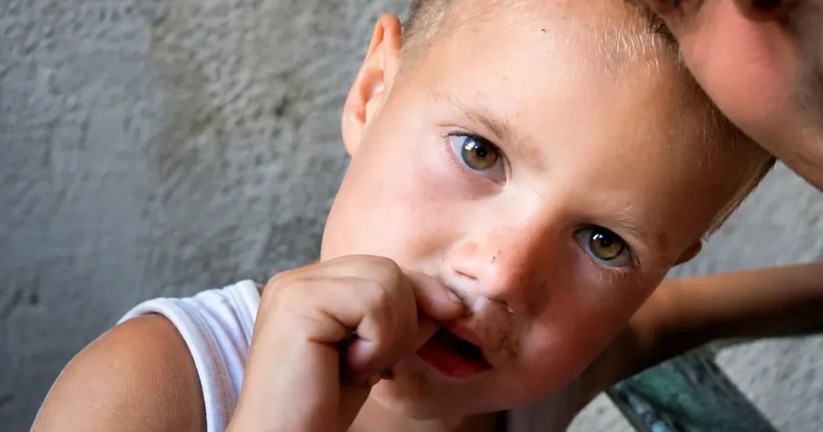 Copil găsit în viață după căutări Copil găsit în viață după căutări