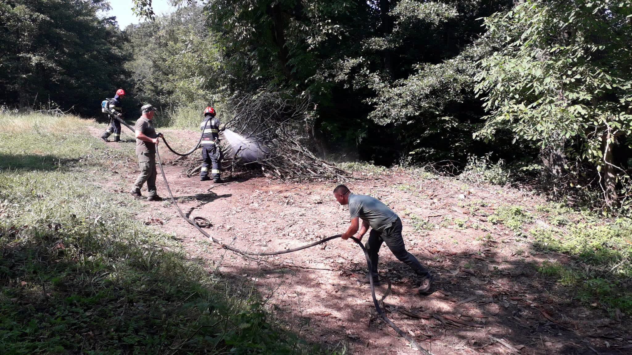 Pompieri români stingând un incendiu de pădure în Vrancea Pompieri români stingând un incendiu de pădure în Vrancea