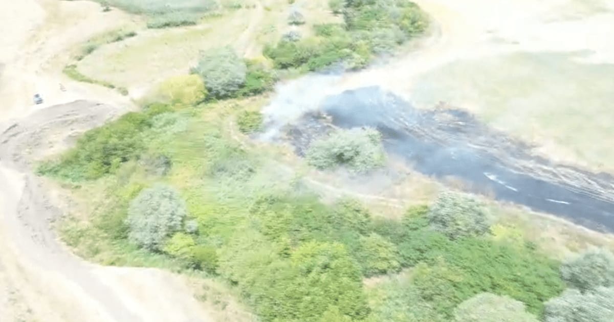 Intervenție pompieri incendiu vegetație Dobrovăț Intervenție pompieri incendiu vegetație Dobrovăț